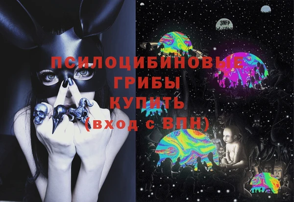 соль ск Алексеевка