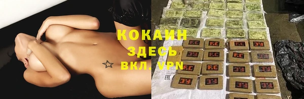 соль ск Алексеевка