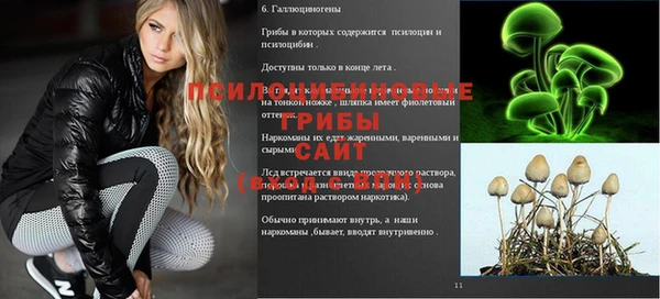 соль ск Алексеевка