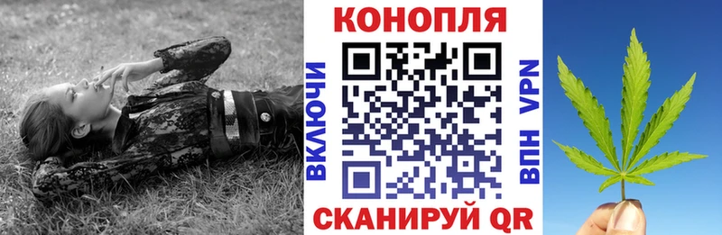 Конопля план Анапа